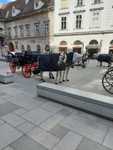 Foto utilizatorului Romanq32