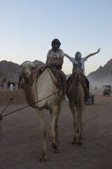 Benutzerfoto keite13