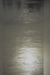 Foto pengguna lukasawan