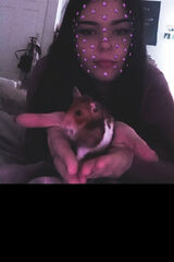 Foto pengguna Kaamiillaa