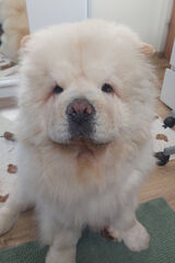 Foto utilizatorului mlodyhustler4202