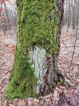 Zdjęcie użytkownika Lara8080