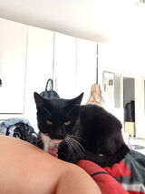 Zdjęcie użytkownika szmajdaandrzej19