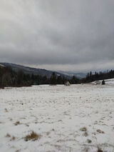 Фотография пользователя Marek321123