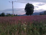 Photos ukoch0135