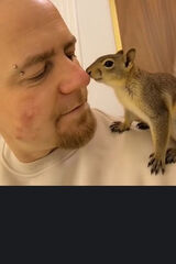 Fotos no1logosDaniel