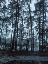 Zdjęcie użytkownika TenMaraS