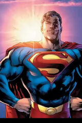 Benutzerfoto Maciek1555