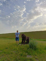 Benutzerfoto bogdanwickowski1