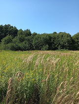 Benutzerfoto BendykP