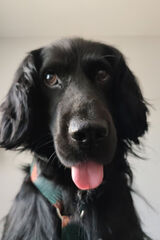 Zdjęcie użytkownika Michas3838