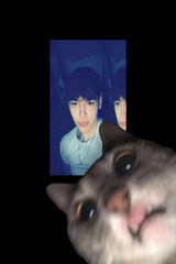 Zdjęcie użytkownika ogracek