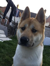 Фотография пользователя Maznik