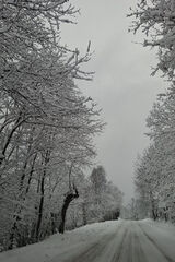 Photos onaKrakOlolice