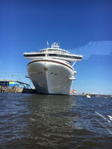 Foto pengguna wisar69