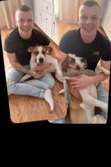 Фотография пользователя Adma311