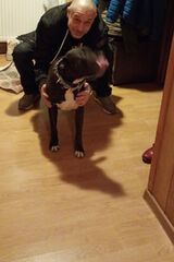 Fotos StanislawMalina182