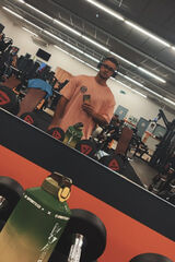 Photos sebastiandomansk42