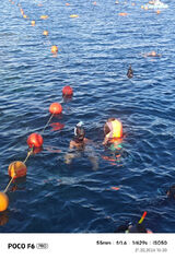 Fotka uživatele keite13