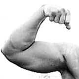 Fotka uživatele Norbert0771