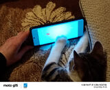 Fotka uživatele paliwodamarek901