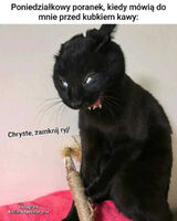 Fotos szostakpiotr413