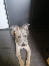 Zdjęcie użytkownika Martita79