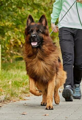 Benutzerfoto Danielg210