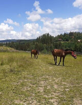 Benutzerfoto Madzia2026