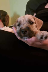 Zdjęcie użytkownika MateuszMateusz04