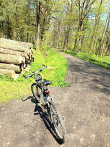 Zdjęcie użytkownika tomaszem150