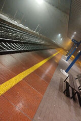 Zdjęcie użytkownika kamilkarasiak