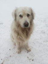 Zdjęcie użytkownika grzesio1614