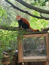 Benutzerfoto Sajmon87