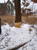 Фотография пользователя u2669285418