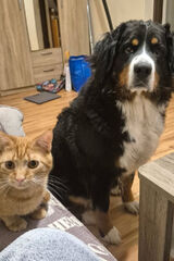 Foto pengguna mateuszzoltak456