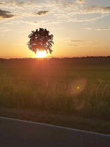 Foto pengguna zenobiusz1965