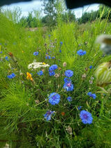 Fotka uživatele MaciejB92