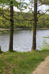 Фотография пользователя Quenstando