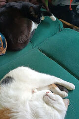 Zdjęcie użytkownika Fafik7777