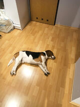 Фотография пользователя aleksandr197