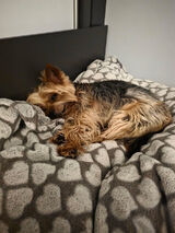 Fotos ArturWieczorek95