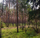 Benutzerfoto Madzia2026