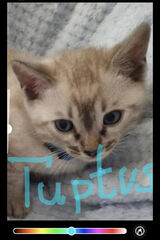 Benutzerfoto marcinszczodrows70