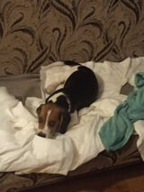 Benutzerfoto aleksandr197