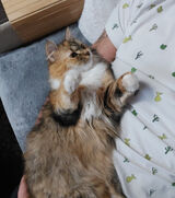 Foto pengguna gonzio