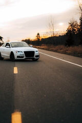 Zdjęcie użytkownika Polacos