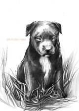 Zdjęcie użytkownika TymekTymosz