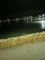 Benutzerfoto Monika767