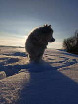Zdjęcie użytkownika Pawel1611
